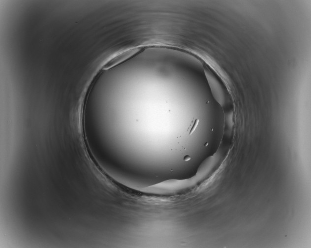 X0000088861246200706081147