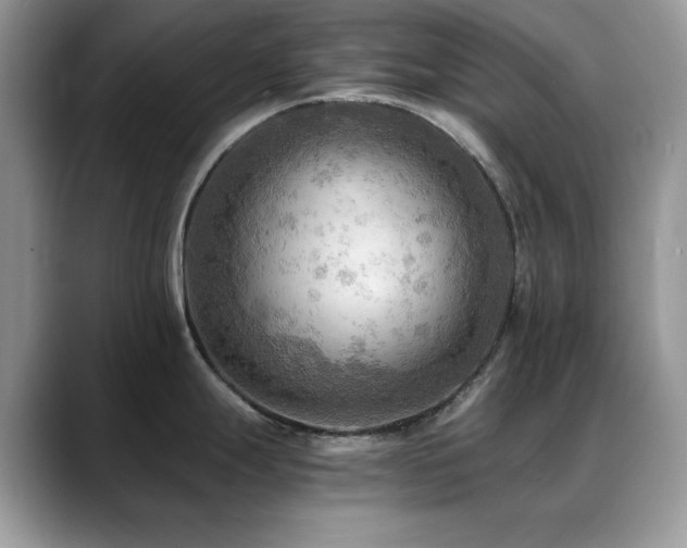 X0000088861247200706081147