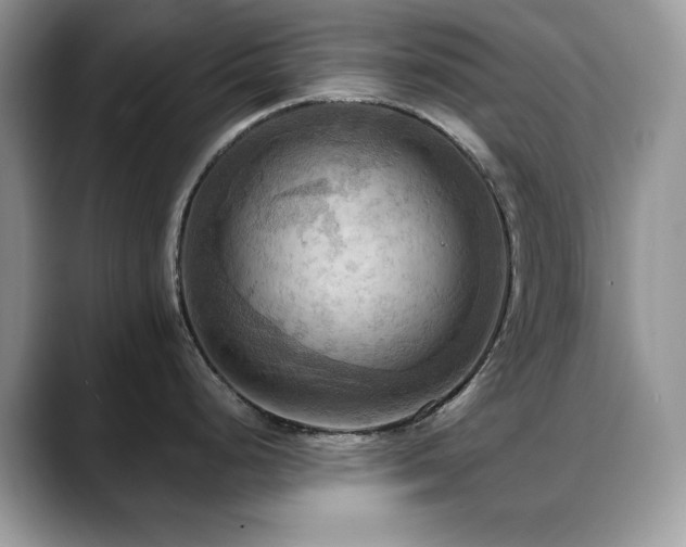 X0000088861248200706081147