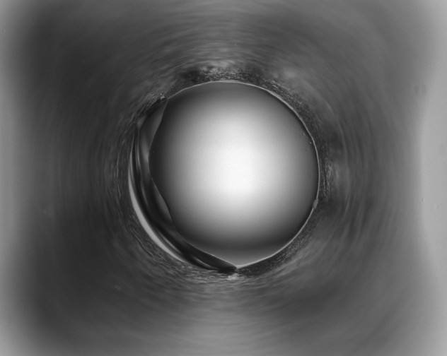 X0000088861250200706081146