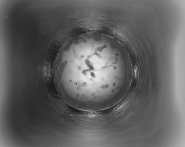 X0000088861251200706081146