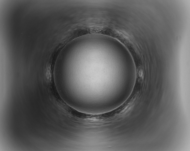 X0000088861252200706081146