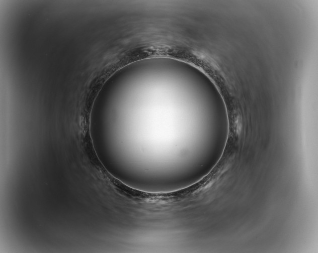 X0000088861253200706081146