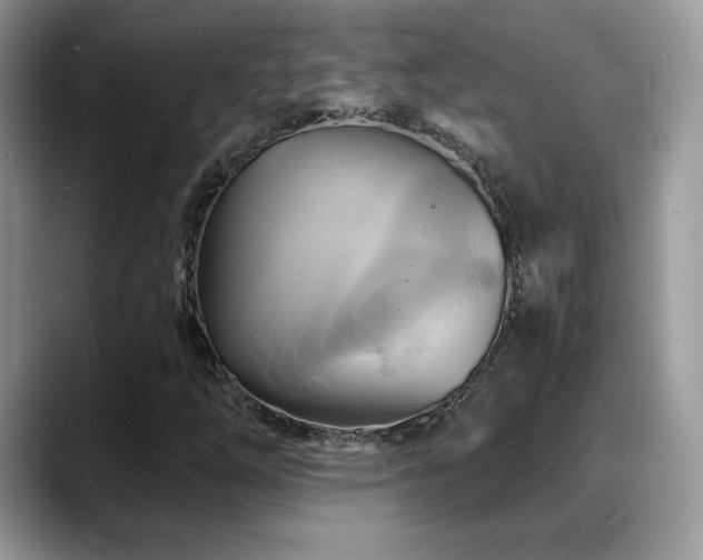 X0000088861254200706081146