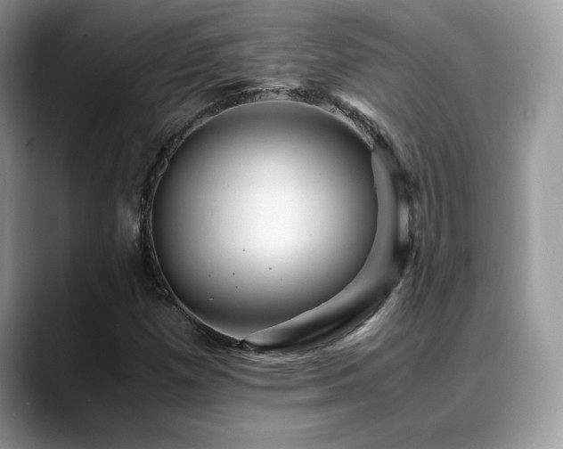 X0000088861257200706081146