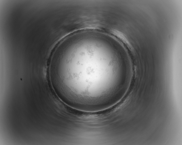 X0000088861260200706081146