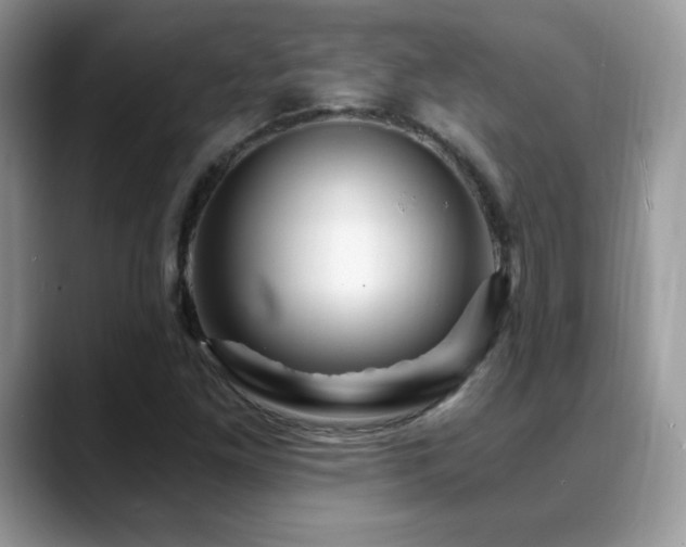 X0000088861261200706081146