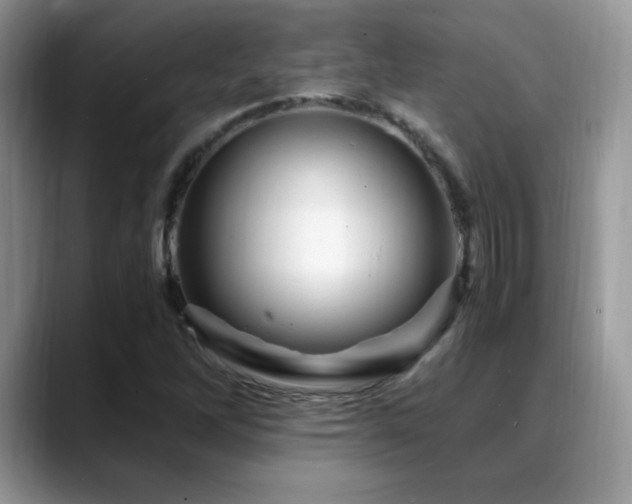 X0000088861262200706081146