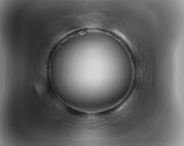 X0000088861263200706081146