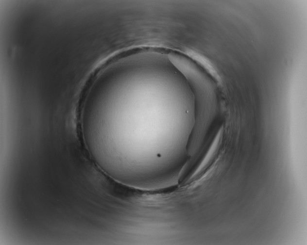 X0000088861264200706081146