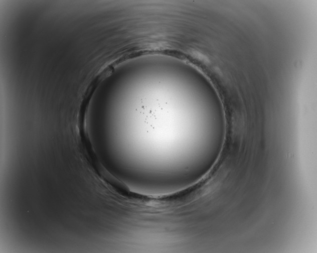 X0000088861265200706081146