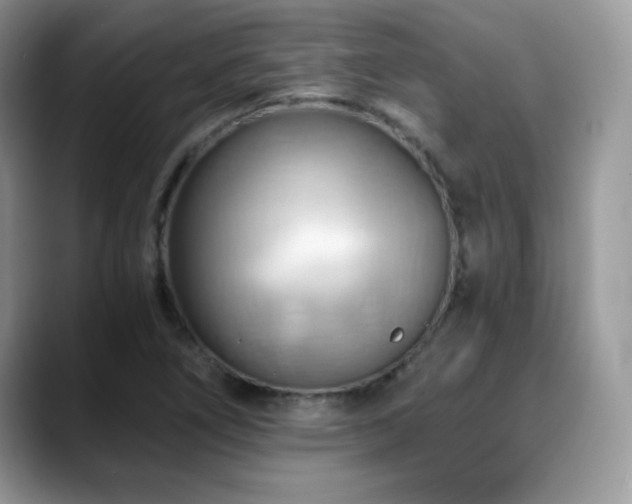 X0000088861266200706081146