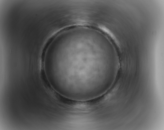 X0000088861267200706081146