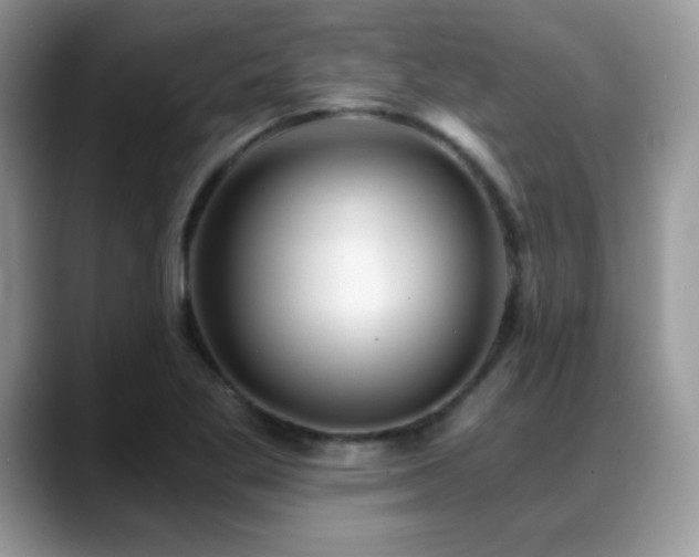 X0000088861269200706081146