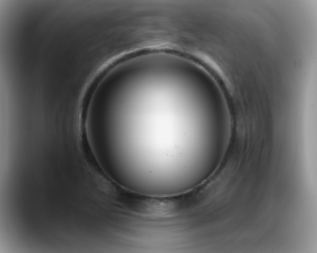 X0000088861270200706081146