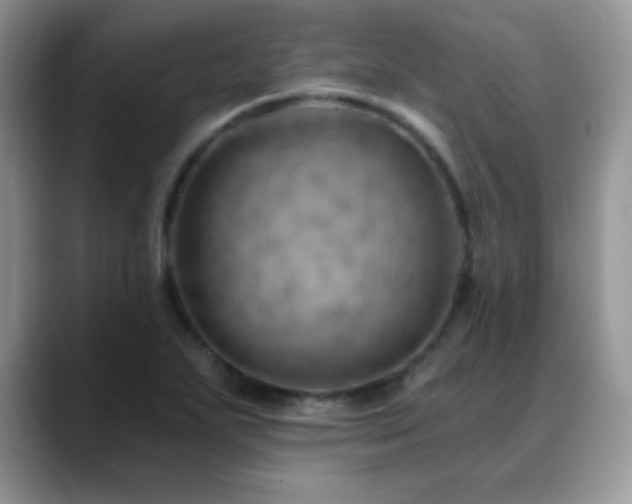 X0000088861271200706081146
