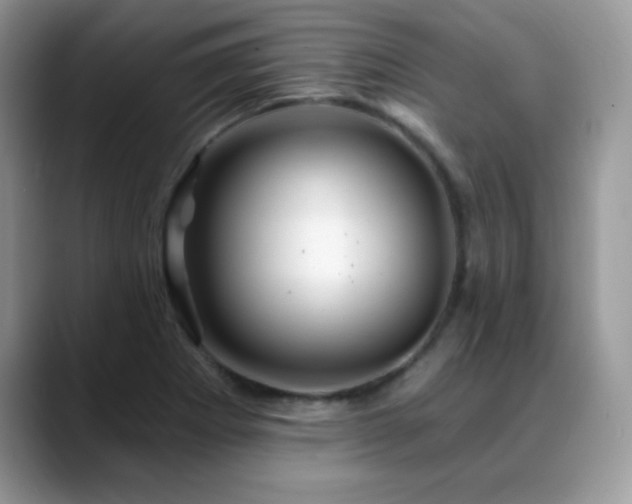 X0000088861273200706081146