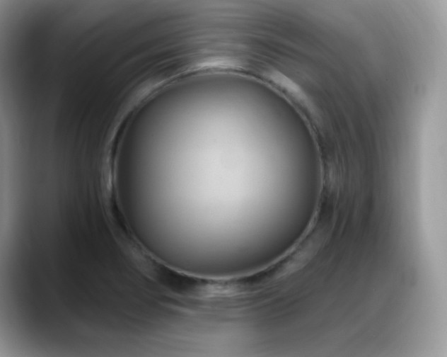 X0000088861274200706081146
