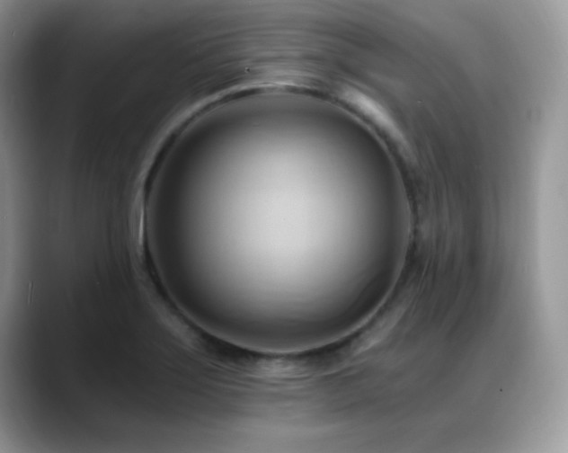 X0000088861275200706081146