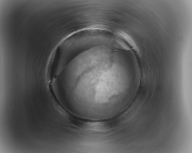 X0000088861276200706081146