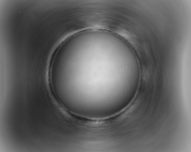 X0000088861278200706081146