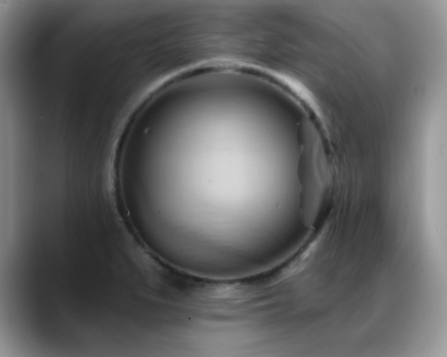 X0000088861279200706081146