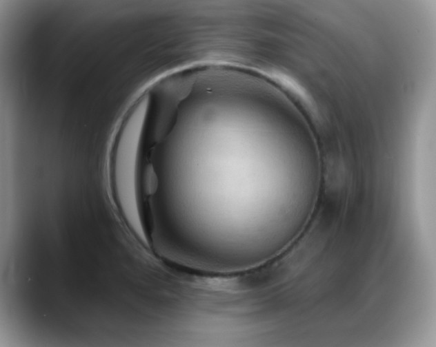 X0000088861280200706081146