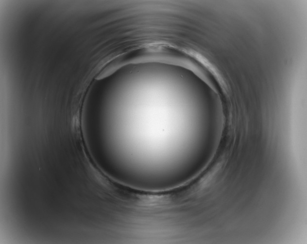 X0000088861281200706081146