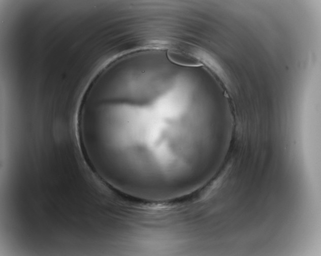 X0000088861283200706081146