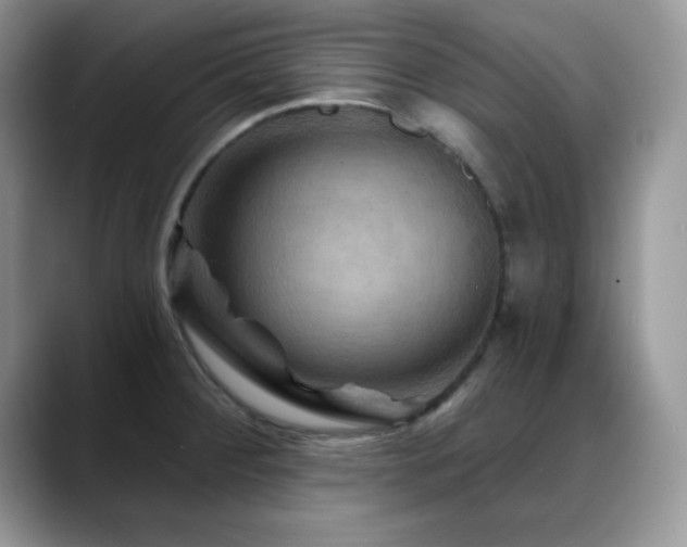 X0000088861284200706081146