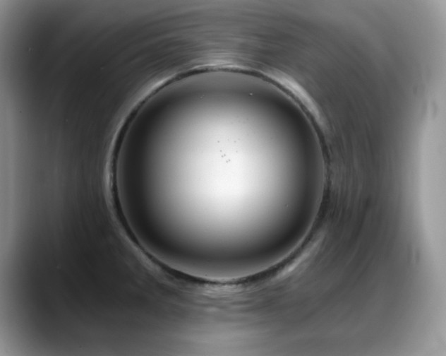 X0000088861285200706081146