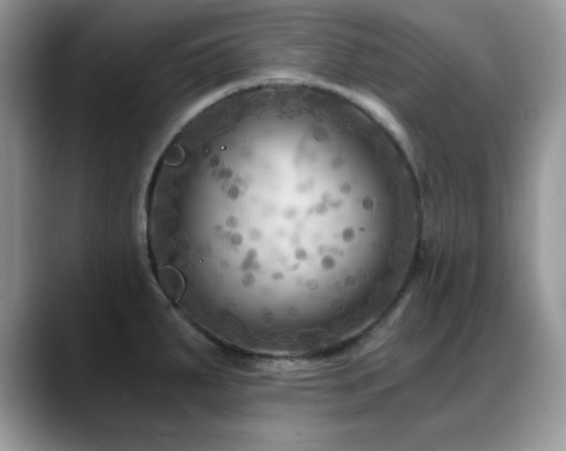 X0000088861287200706081146