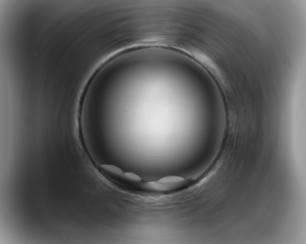 X0000088861288200706081146
