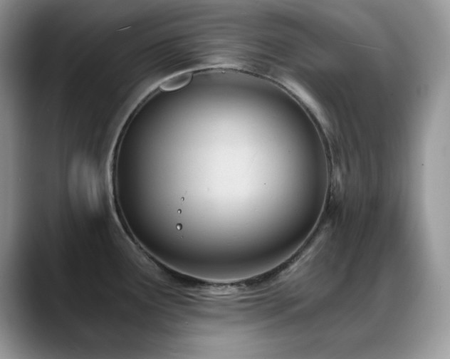 X0000088861291200706081146