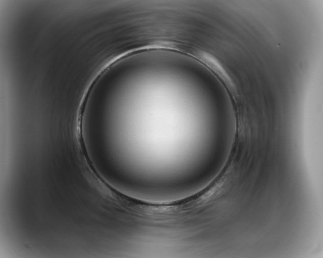X0000088861292200706081146