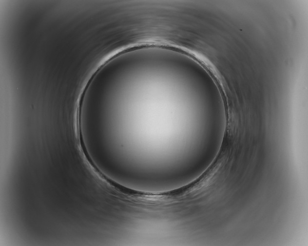 X0000088861295200706081146