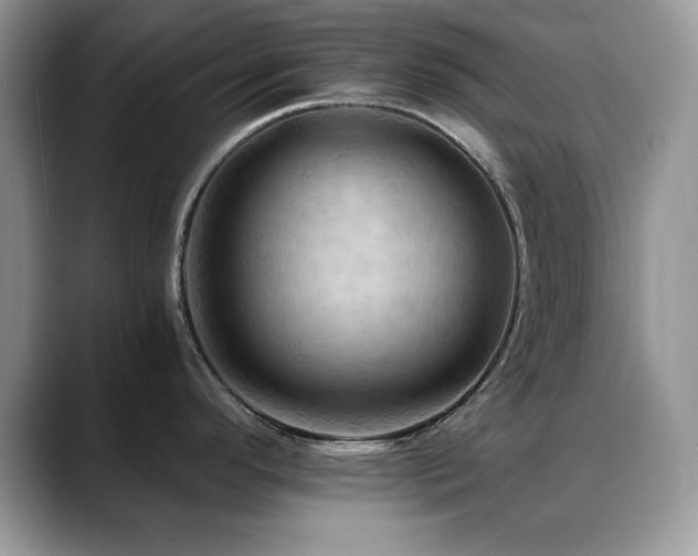 X0000088861296200706081146