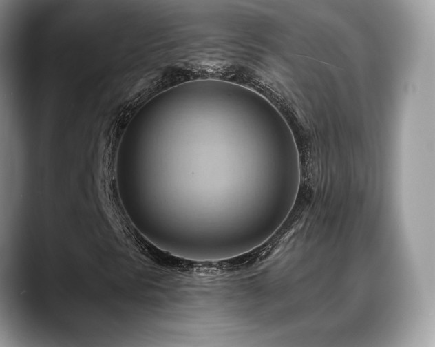 X0000088861297200706081145
