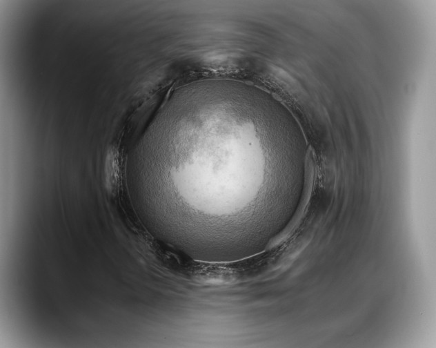 X0000088861298200706081145