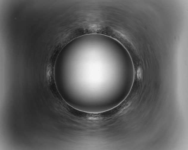 X0000088861299200706081145