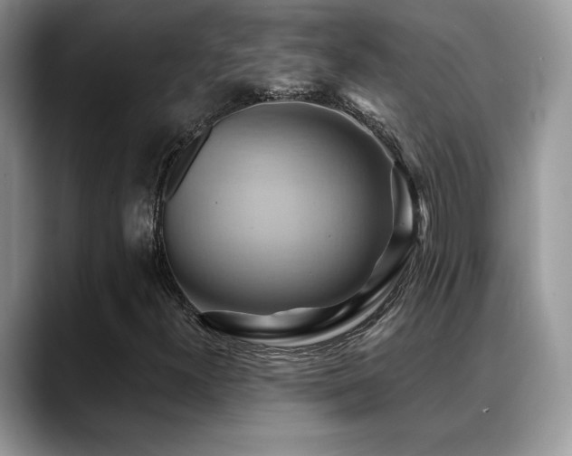 X0000088861300200706081145