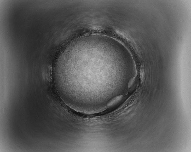 X0000088861301200706081145