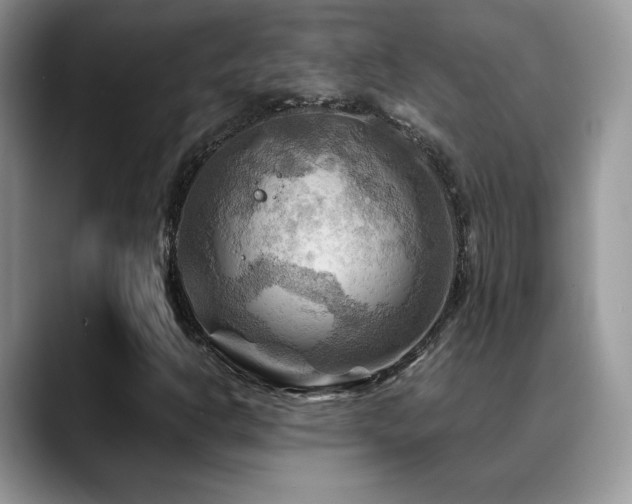 X0000088861302200706081145