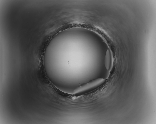 X0000088861303200706081145