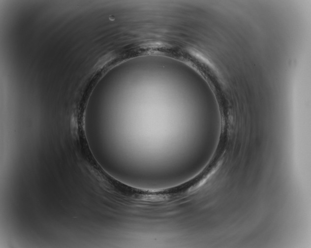 X0000088861305200706081145