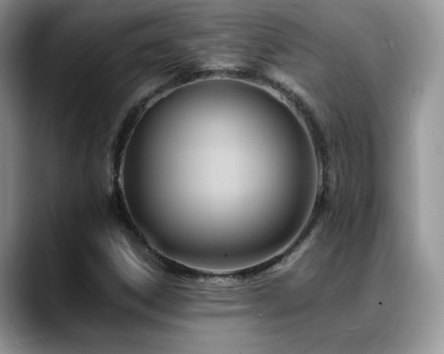 X0000088861306200706081145