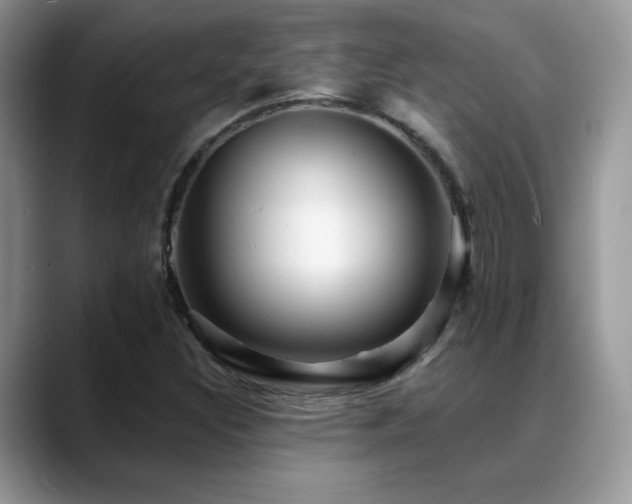 X0000088861308200706081145