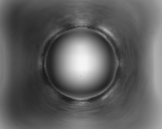 X0000088861309200706081145