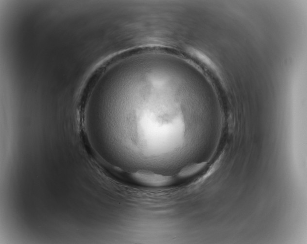 X0000088861310200706081145