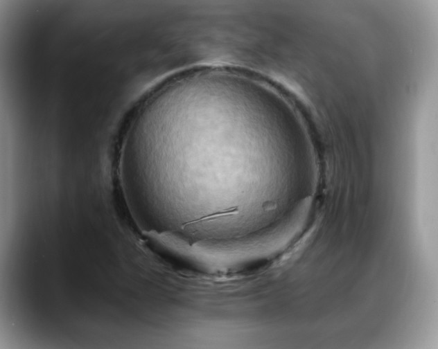 X0000088861311200706081145